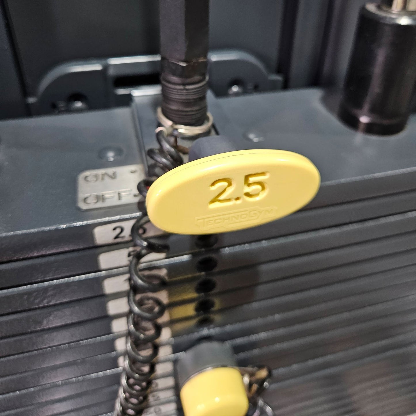 Technogym 2er Set = Beinstrecker und Beinbeuger, Leg Extension and Leg Curl Set, Selection Line, Rahmenfarbe Silber, gebraucht - überholter Zustand