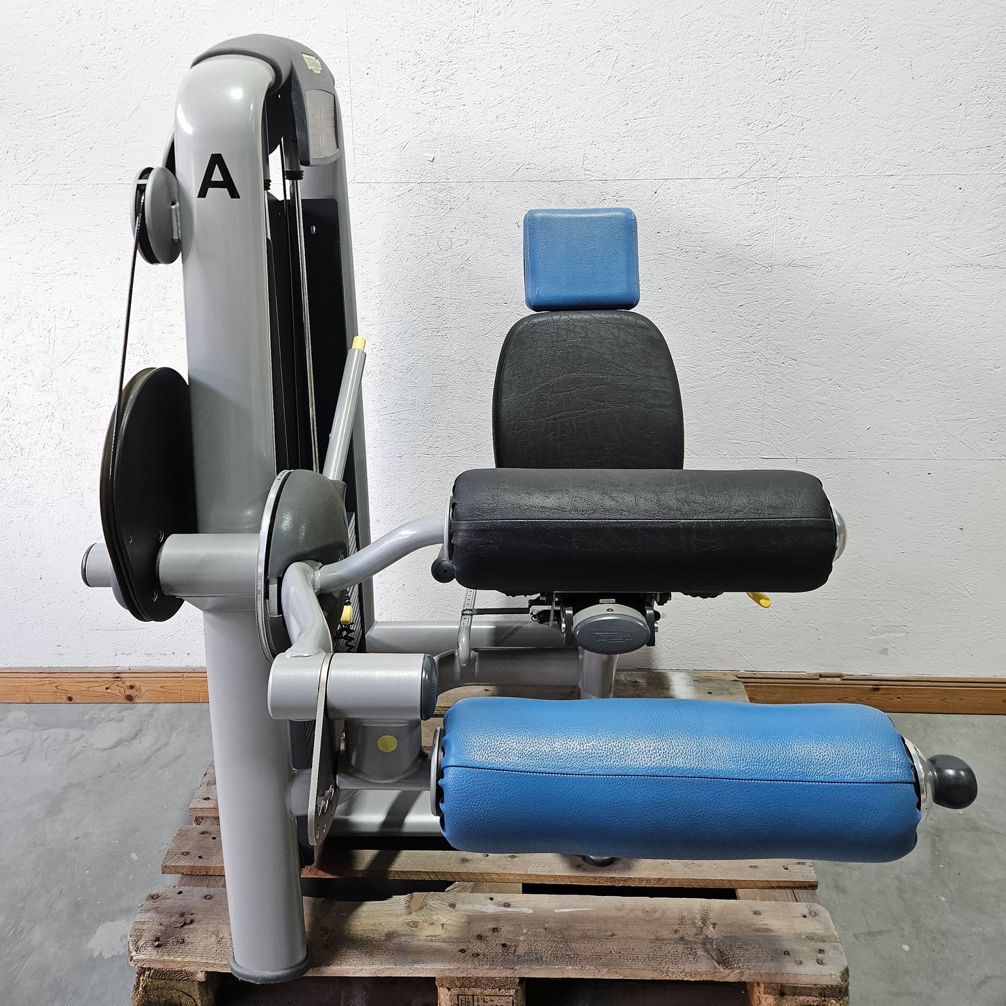 Technogym 2er Set = Beinstrecker und Beinbeuger, Leg Extension and Leg Curl Set, Selection Line, Rahmenfarbe Silber, gebraucht - überholter Zustand