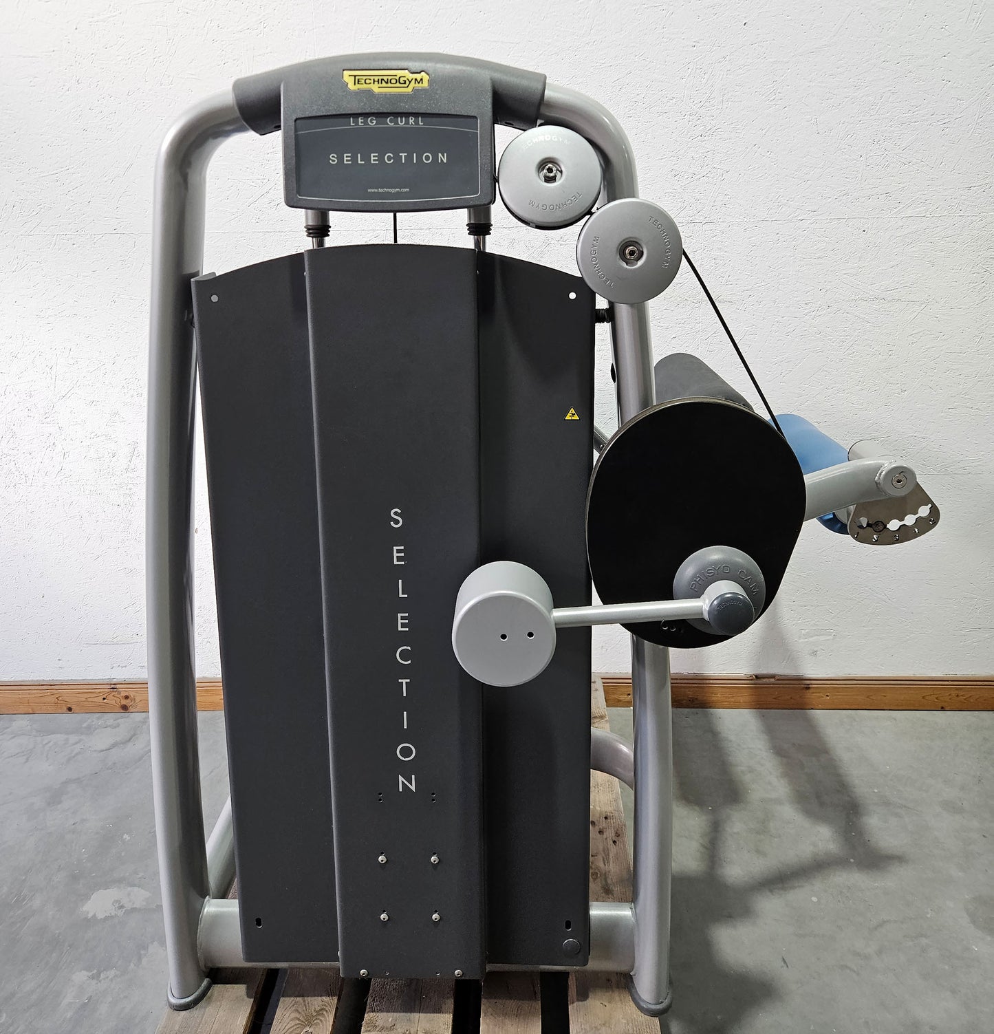 Technogym 2er Set = Beinstrecker und Beinbeuger, Leg Extension and Leg Curl Set, Selection Line, Rahmenfarbe Silber, gebraucht - überholter Zustand