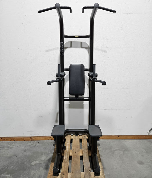 Technogym 3 in 1 Gerät, Chip Up & Dip & Leg Raise - Dips, Beinheben und Klimmzug Ständer, Rahmen Schwarz, gebraucht - überholter Zustand