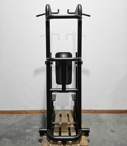 Technogym 3 in 1 Gerät, Chip Up & Dip & Leg Raise - Dips, Beinheben und Klimmzug Ständer, Rahmen Schwarz, gebraucht - überholter Zustand