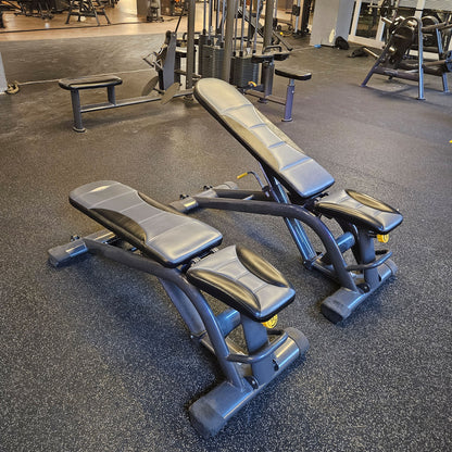 SportsArt komplette Fitnessstudio Ausstattung - 75 Fitnessgeräte im Set - Kraftgeräte, Cardiogeräte, Bänke, Racks etc - Rahmen Anthrazit, gebraucht - überholter Zustand