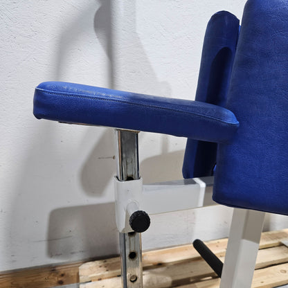 Pulse bzw Pulsestar Rotationsmaschine, Rotary Torso Twister, Rumpfdrehung Rotator, Rahmenfarbe Weiß, gebraucht - geprüfter Zustand mit optischen Gebrauchsspuren