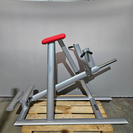 Teuwsen T-Bar Row Ruderstation mit Bruststütze. Ähnlich Gym80 oder L+K, Plate loaded Kraftgerät Rudern, Rahmen Silber, gebraucht - geprüfter Zustand