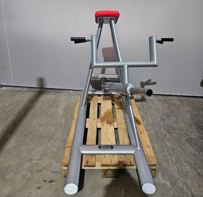 Teuwsen T-Bar Row Ruderstation mit Bruststütze. Ähnlich Gym80 oder L+K, Plate loaded Kraftgerät Rudern, Rahmen Silber, gebraucht - geprüfter Zustand