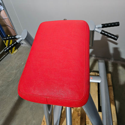 Teuwsen T-Bar Row Ruderstation mit Bruststütze. Ähnlich Gym80 oder L+K, Plate loaded Kraftgerät Rudern, Rahmen Silber, gebraucht - geprüfter Zustand