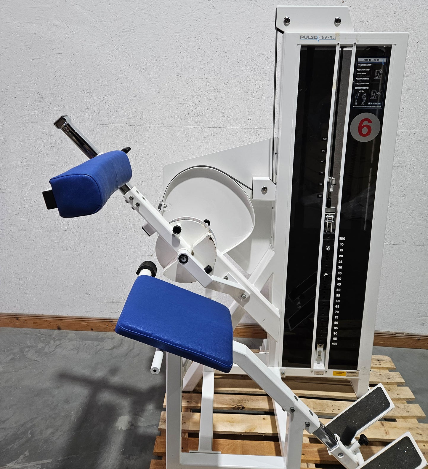 Pulse bzw Pulsestar Rückenstreckermaschine, Back Extension, Lower Back, Hyperextension, Rahmenfarbe Weiß, gebraucht - geprüfter Zustand mit optischen Gebrauchsspuren