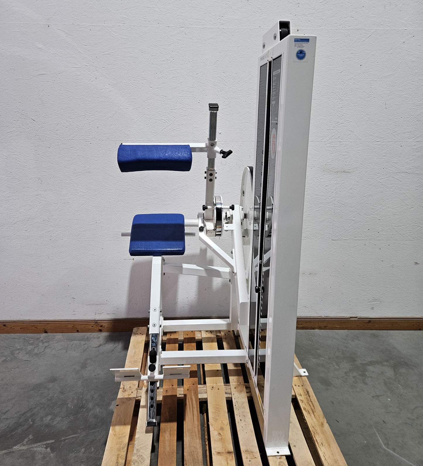 Pulse bzw Pulsestar Rückenstreckermaschine, Back Extension, Lower Back, Hyperextension, Rahmenfarbe Weiß, gebraucht - geprüfter Zustand mit optischen Gebrauchsspuren
