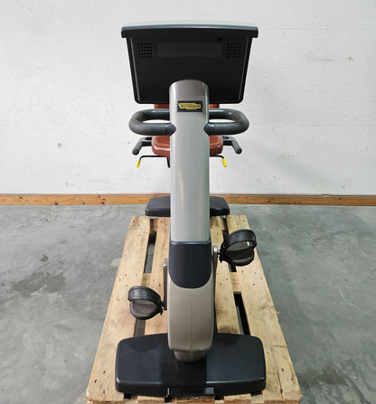 TechnoGym Recumbent Excite Line Recline 500, LED Display, verstellbare Pedalarme, ohne Handpuls, Polster Rot-Braun, gebraucht - überholter Zustand