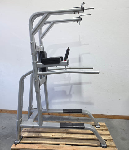 Nautilus 3 in 1 Gerät, Dips, Beinheben und Klimmzug Ständer = Pull Up - Dip - Leg Raise, Inspiration Strength Series NP-B7511, Rahmenfarbe Silber, gebraucht mit Gebrauchsspuren