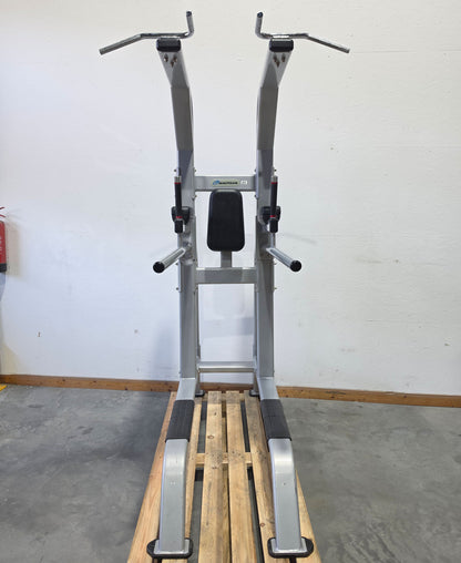 Nautilus 3 in 1 Gerät, Dips, Beinheben und Klimmzug Ständer = Pull Up - Dip - Leg Raise, Inspiration Strength Series NP-B7511, Rahmenfarbe Silber, gebraucht mit Gebrauchsspuren