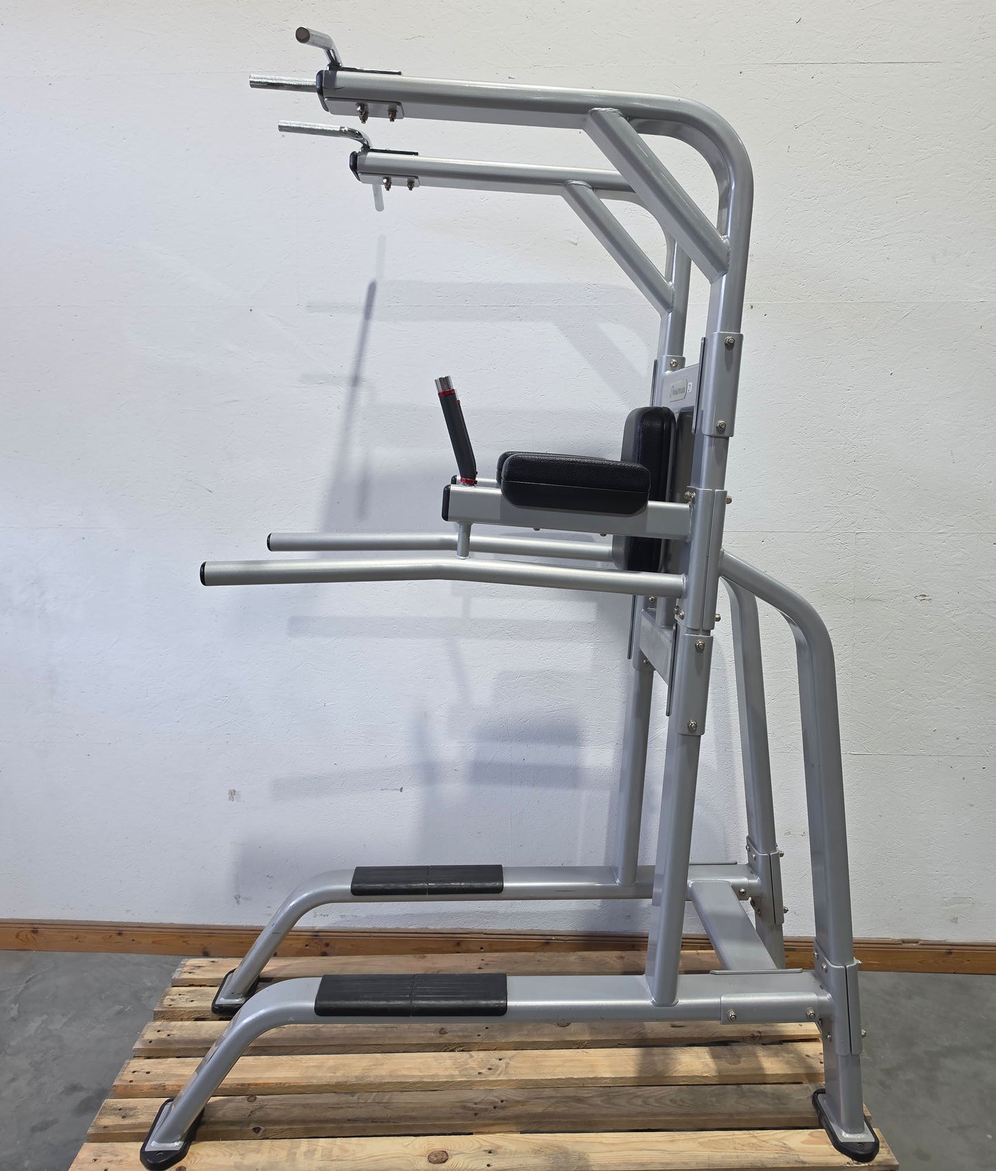 Nautilus 3 in 1 Gerät, Dips, Beinheben und Klimmzug Ständer = Pull Up - Dip - Leg Raise, Inspiration Strength Series NP-B7511, Rahmenfarbe Silber, gebraucht mit Gebrauchsspuren