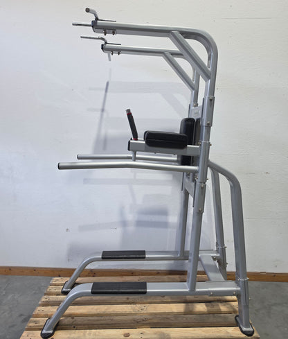 Nautilus 3 in 1 Gerät, Dips, Beinheben und Klimmzug Ständer = Pull Up - Dip - Leg Raise, Inspiration Strength Series NP-B7511, Rahmenfarbe Silber, gebraucht mit Gebrauchsspuren