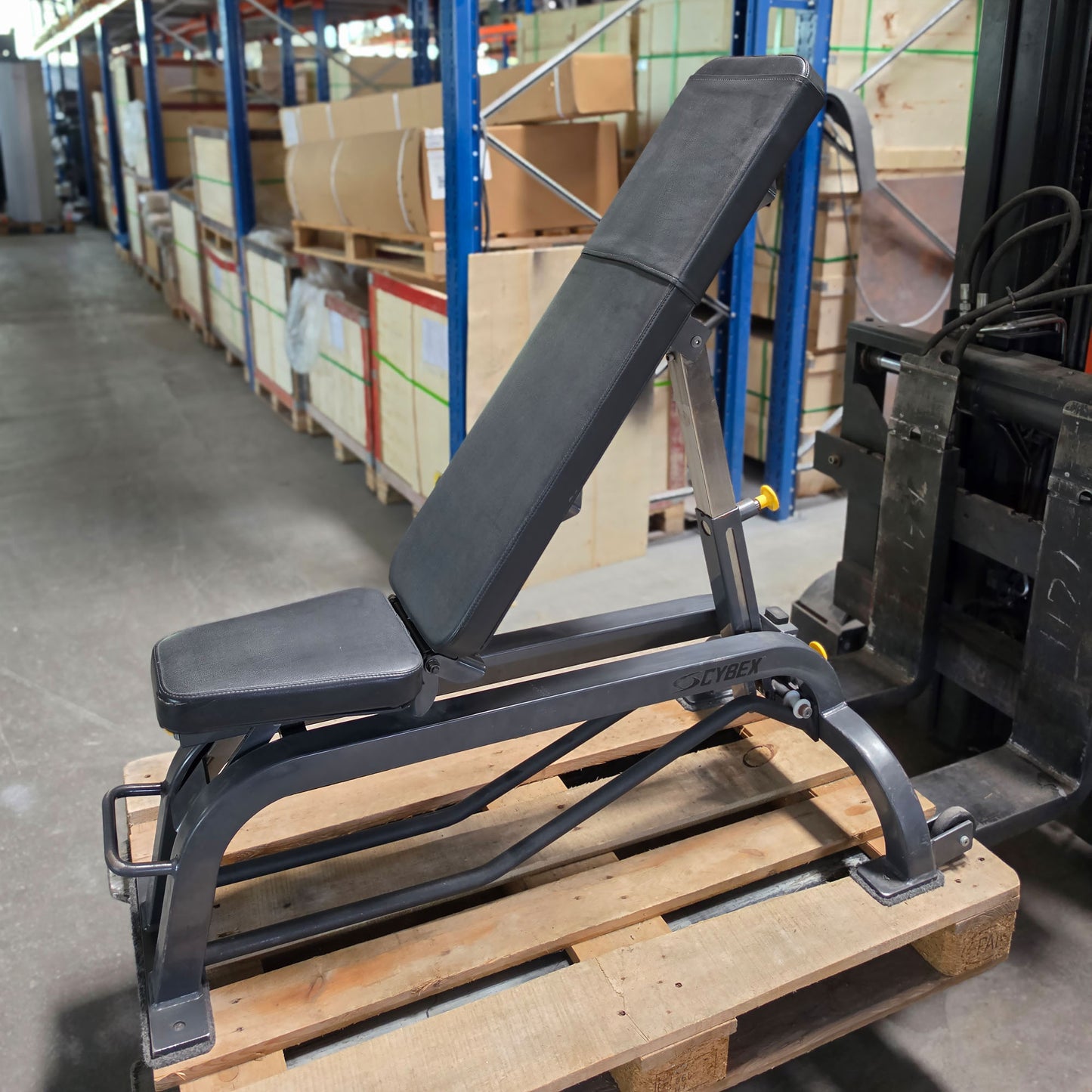 Cybex verstellbare Hantelbank ohne Ablagen, Universalbank, Adjustable Workout Bench, Rahmenfarbe Anthrazit, gebraucht - mit Gebrauchsspuren