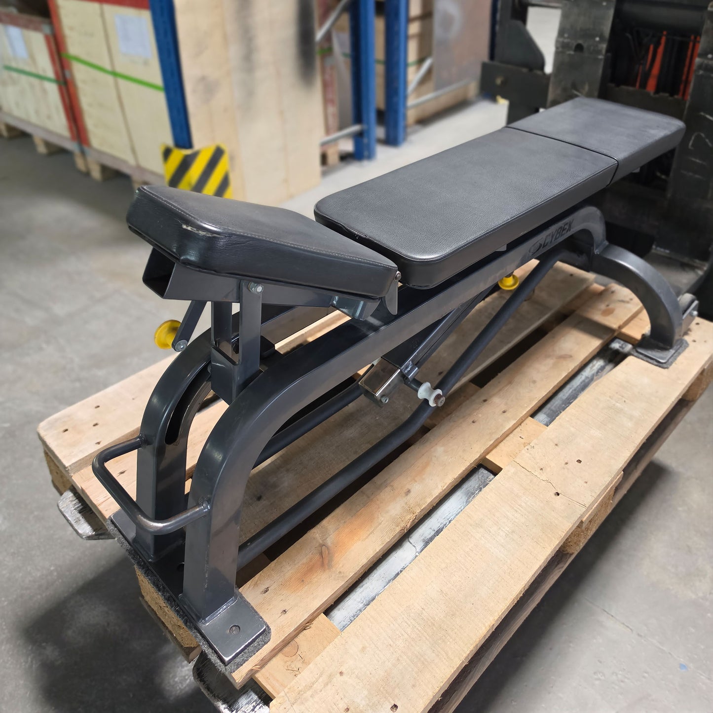 Cybex verstellbare Hantelbank ohne Ablagen, Universalbank, Adjustable Workout Bench, Rahmenfarbe Anthrazit, gebraucht - mit Gebrauchsspuren