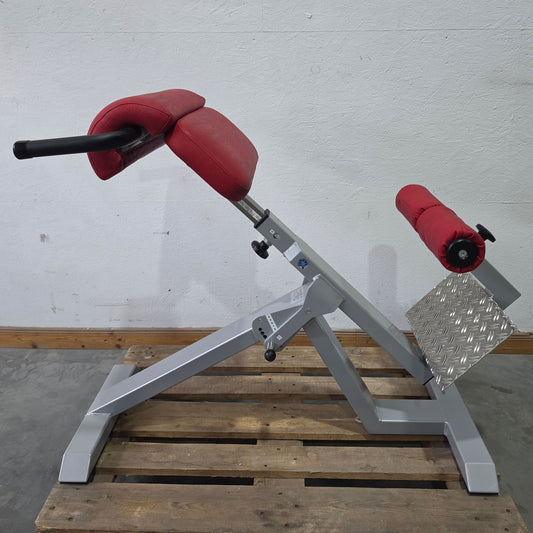 SVG Hyperextension 45° - Rückenstreckerbank und Lumbaltrainer in einem Gerät, verstellbar, Rahmenfarbe Silber, gebraucht - überholter Zustand