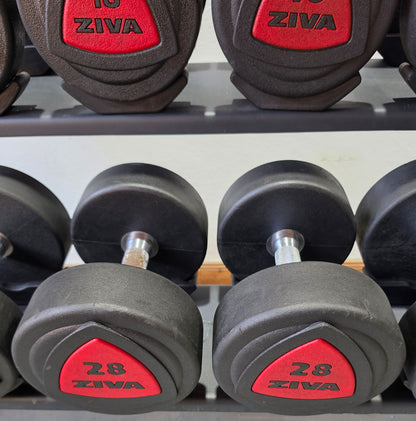 Jordan Kurzhantelsatz aus Urethane 2,5 bis 30kg in 2,5kg Stufen ( 12 Paare ) Material ähnlich Gummi bzw PU Polyurethane, INKLUSIVE Precor Kurzhantelablage, gebraucht - mit Gebrauchsspuren