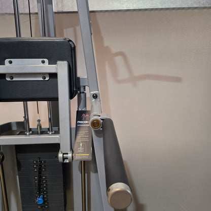 Precor Icarian 320 Assisted Dip-Chin & Pull-up Machine, Dip-Klimmzugmaschine mit Gewichtsunterstützung, Rahmenfarbe Silber, gebraucht - überholter Zustand