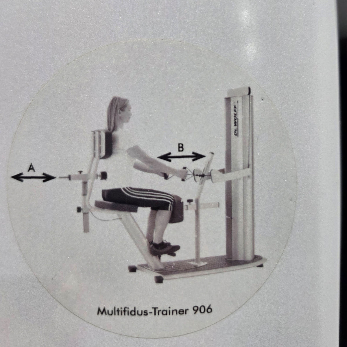 Dr. Wolff Multifidus Trainer 906, Segmentale Stabilisation der LWS, sitzend, Farbe Silber, gebraucht - überholter Zustand