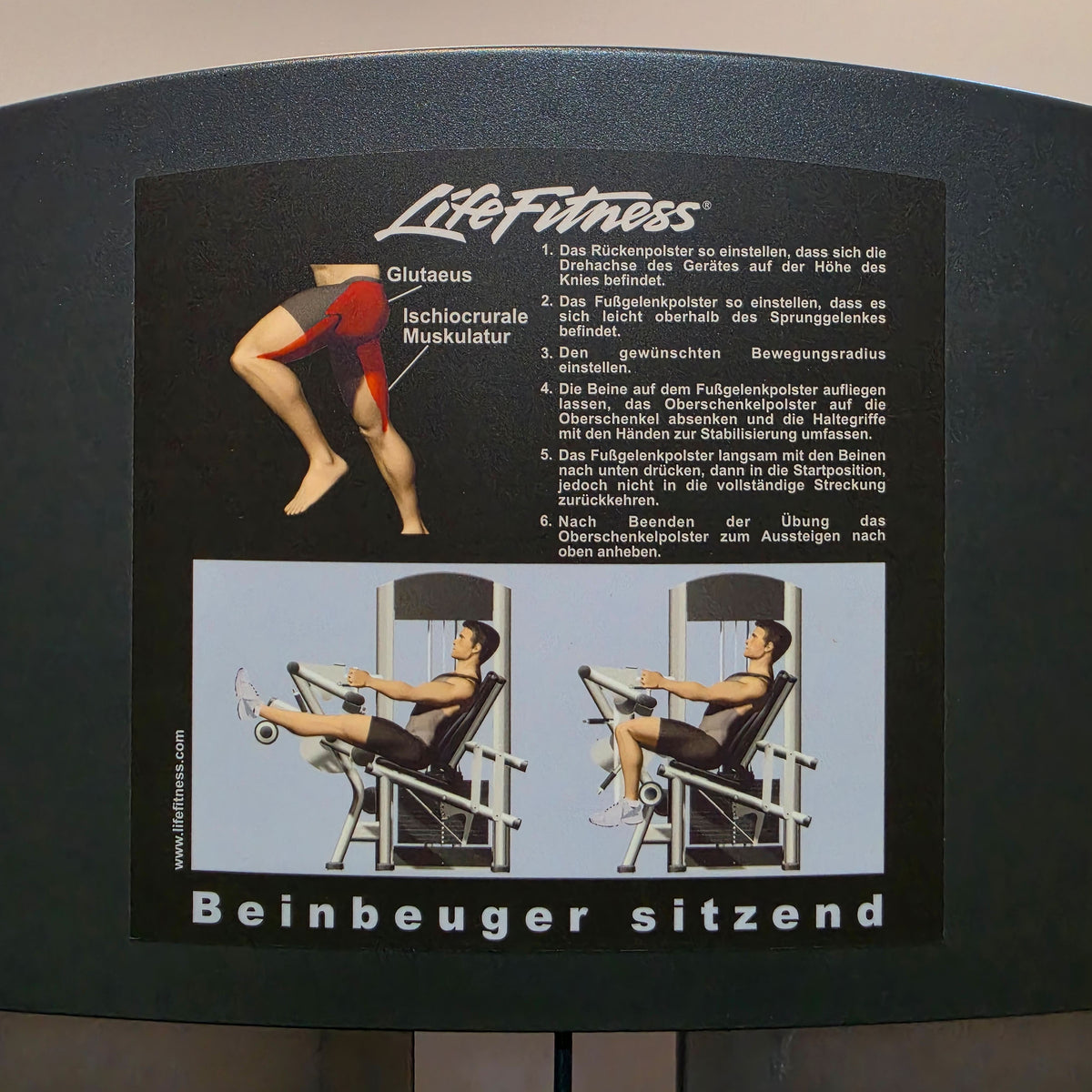 Life Fitness 2er Set = Beinstrecker und Beinbeuger, Leg Extension and Leg Curl Set, Signature Serie, Rahmenfarbe Silber, gebraucht - überholter Zustand