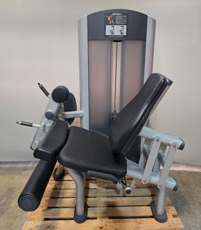 Life Fitness 2er Set = Beinstrecker und Beinbeuger, Leg Extension and Leg Curl Set, Signature Serie, Rahmenfarbe Silber, gebraucht - überholter Zustand