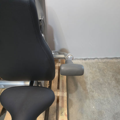 Life Fitness Trizepsmaschine Dip, Armstrecker  Triceps, 135kg Gewichtsblock, Signature Series, Rahmenfarbe Silber, gebraucht - überholter Zustand