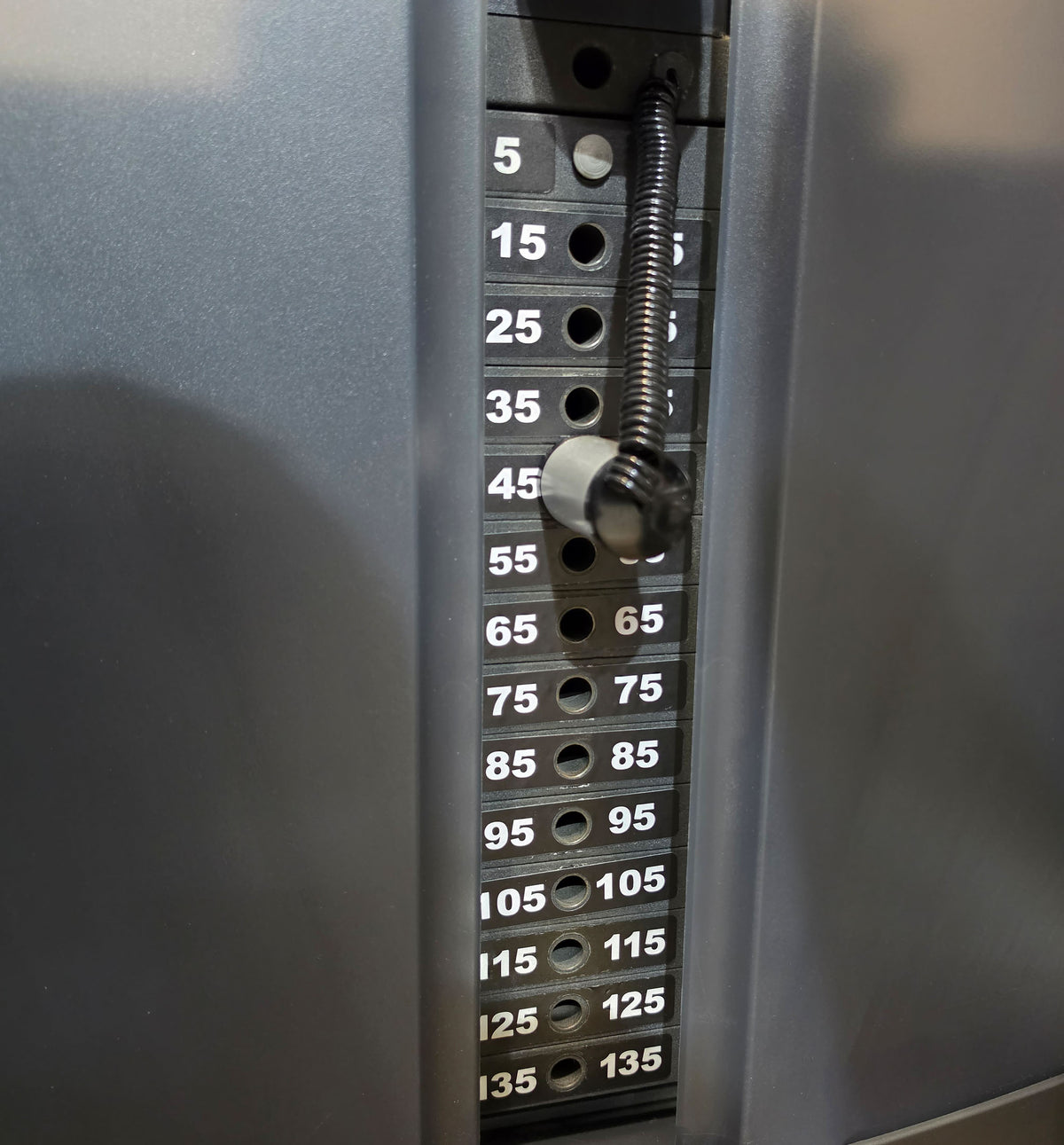 Life Fitness Trizepsmaschine Dip, Armstrecker  Triceps, 135kg Gewichtsblock, Signature Series, Rahmenfarbe Silber, gebraucht - überholter Zustand