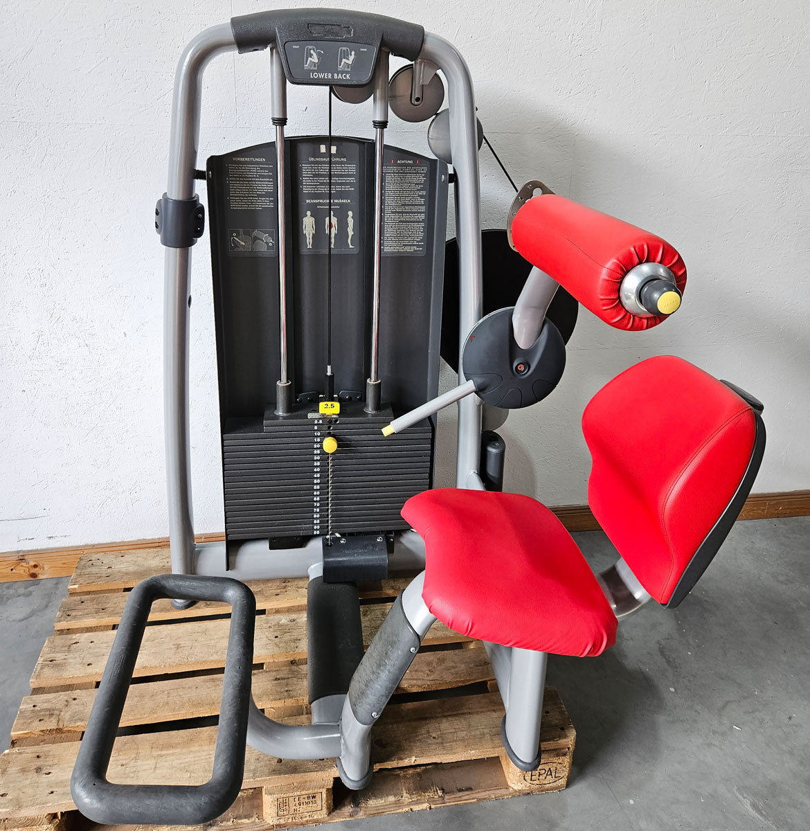 TechnoGym 18 Kraftgeräte im Set, Selection Line, Strength Machines with Stack Weight, Polster Rot, gebraucht - überholter Zustand