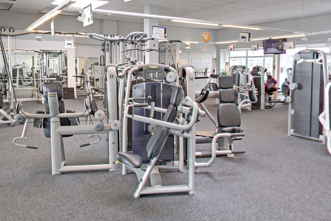 TechnoGym 15 Kraftgeräte im Set, Selection Line, Neue Version mit Plastikverkleidungen, gebraucht - überholter Zustand