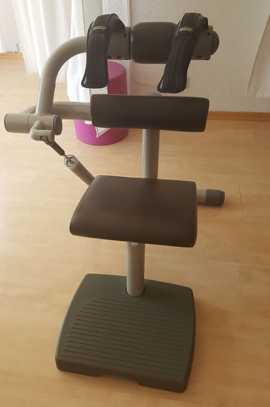 TechnoGym Easy Line Zirkelgerät, Bauch und Rückenstrecker, Kombigerät 2 in 1, Einzelgerät hydraulisch, Polster Braun, gebraucht
