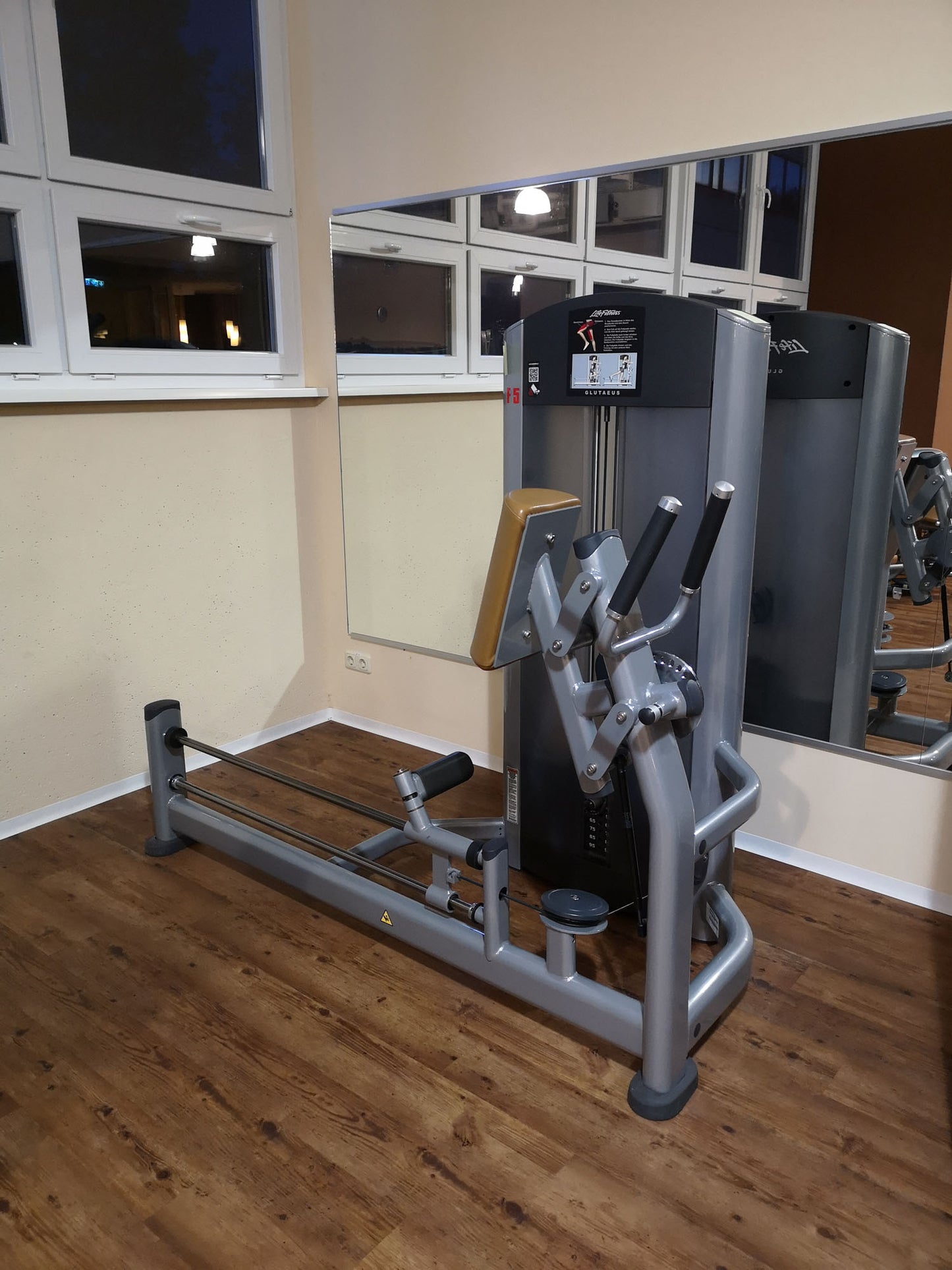 Life Fitness & Hammer Strength - 93 Fitnessgeräte - Kraftgeräte, Cardiogeräte, Plate loaded Geräte, Bänke etc - komplettes Fitnessstudio - gebraucht - TOP Zustand
