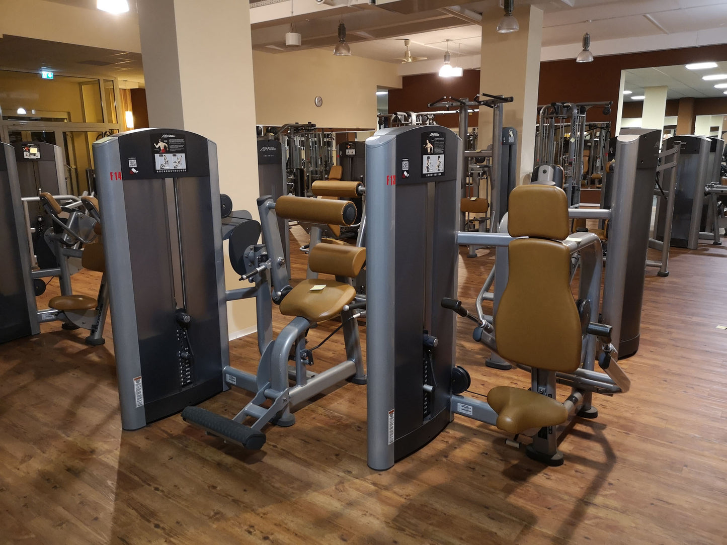 Life Fitness & Hammer Strength - 93 Fitnessgeräte - Kraftgeräte, Cardiogeräte, Plate loaded Geräte, Bänke etc - komplettes Fitnessstudio - gebraucht - TOP Zustand