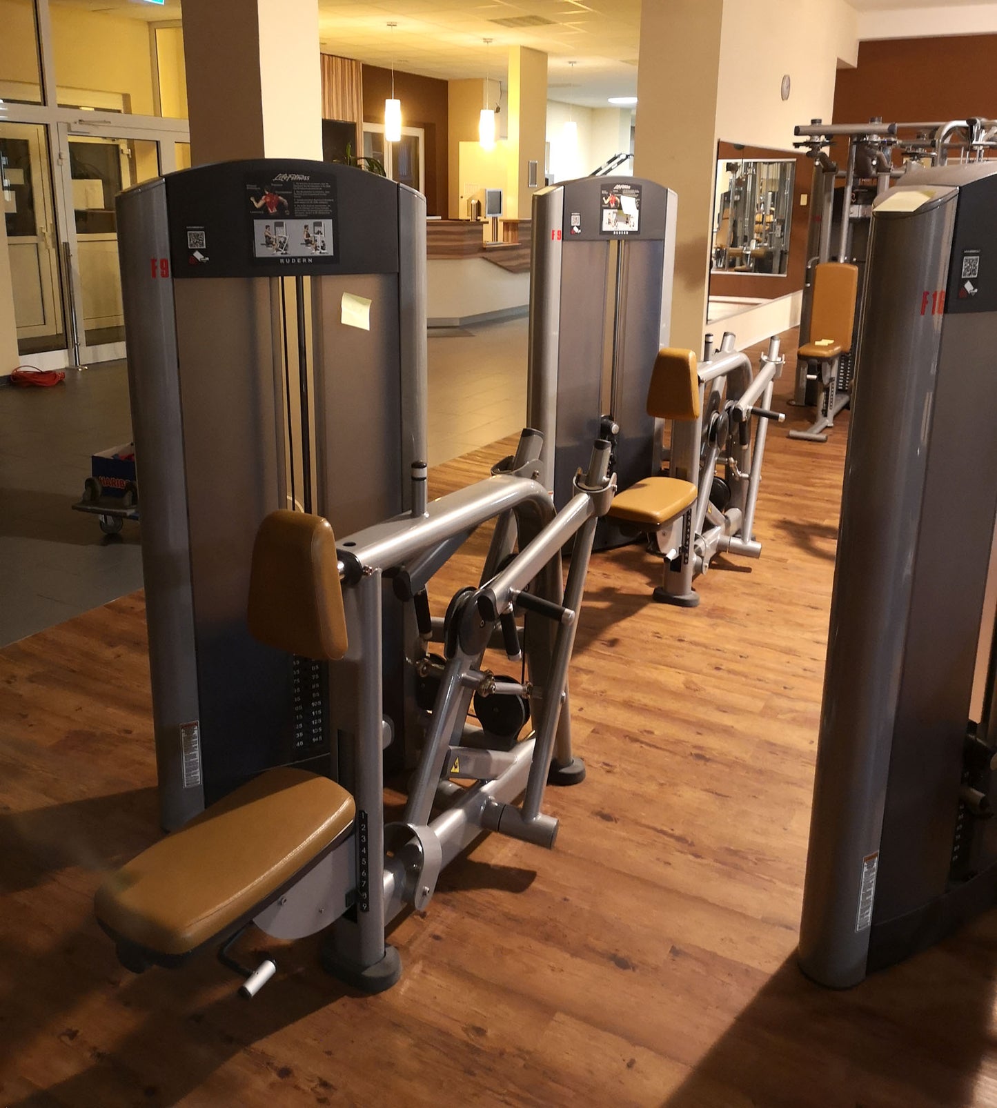 Life Fitness & Hammer Strength - 93 Fitnessgeräte - Kraftgeräte, Cardiogeräte, Plate loaded Geräte, Bänke etc - komplettes Fitnessstudio - gebraucht - TOP Zustand