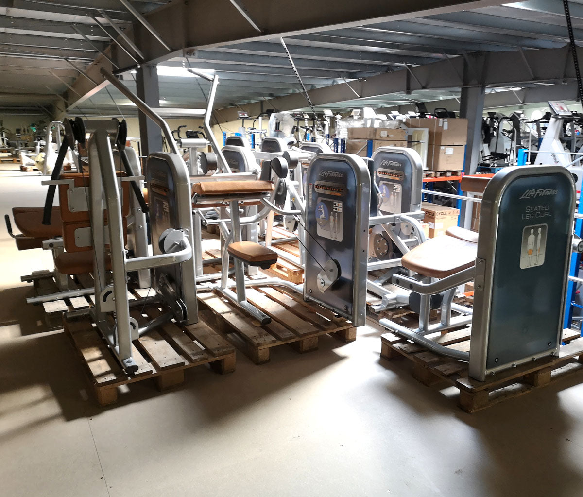 Life Fitness & Hammer Strength - 93 Fitnessgeräte - Kraftgeräte, Cardiogeräte, Plate loaded Geräte, Bänke etc - komplettes Fitnessstudio - gebraucht - TOP Zustand