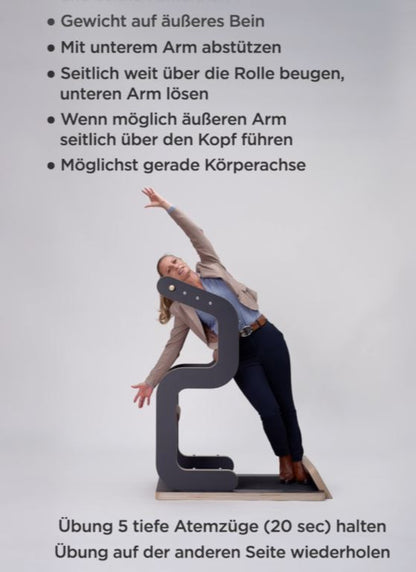 Five Konzept Business - Trainingsgerät zum dehnen und mobilisieren im Büro Office, gebraucht - geprüfter Zustand