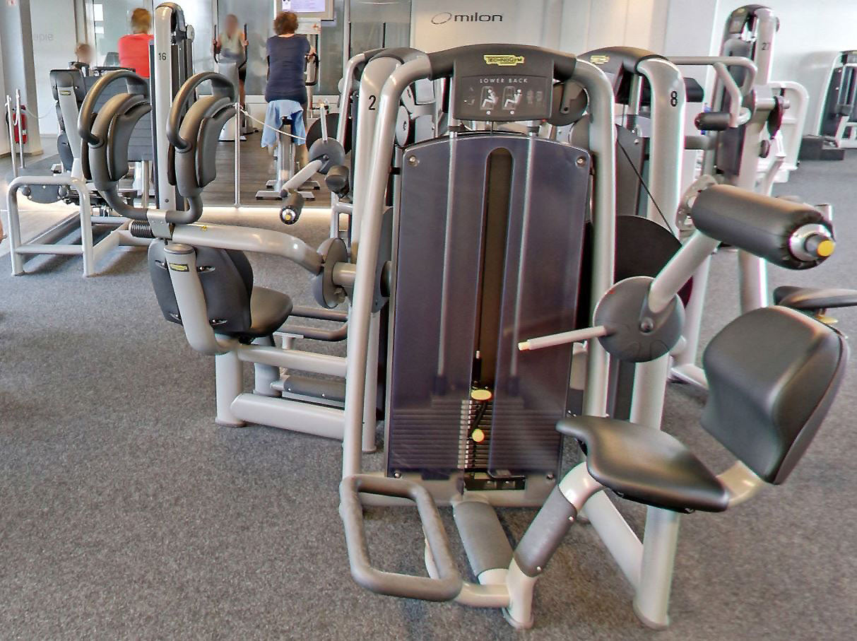 TechnoGym 15 Kraftgeräte im Set, Selection Line, Neue Version mit Plastikverkleidungen, gebraucht - überholter Zustand