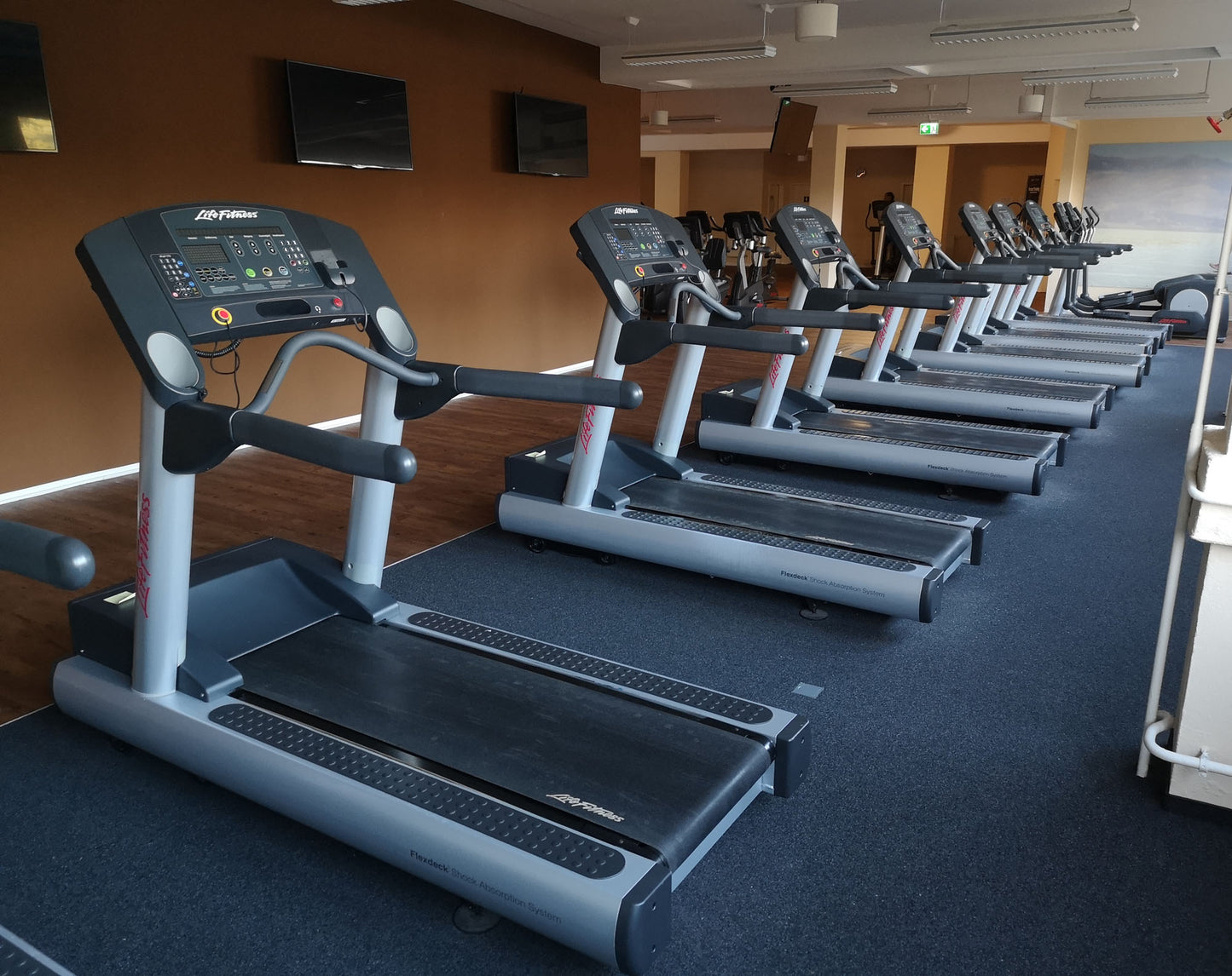 Life Fitness & Hammer Strength - 93 Fitnessgeräte - Kraftgeräte, Cardiogeräte, Plate loaded Geräte, Bänke etc - komplettes Fitnessstudio - gebraucht - TOP Zustand