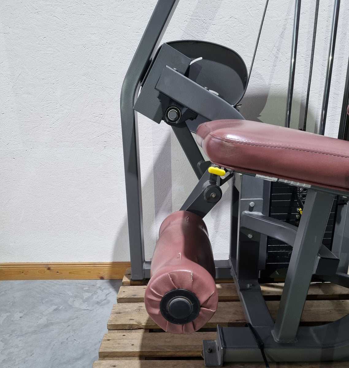 Nautilus Nitro leg extension and leg curl seated, 2 machines in a set, leg curl and leg extension seated, frame color anthracite, used - refurbished condition