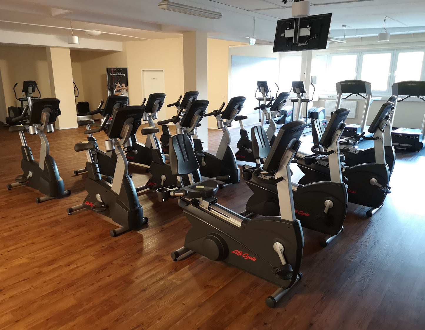 Life Fitness & Hammer Strength - 93 Fitnessgeräte - Kraftgeräte, Cardiogeräte, Plate loaded Geräte, Bänke etc - komplettes Fitnessstudio - gebraucht - TOP Zustand