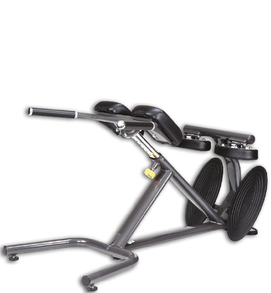 Back Hyperextension 45G A993 für effektives Rückentraining | Dank ...
