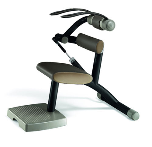 TechnoGym Easy Line Zirkelgerät, Bauch und Rückenstrecker, Kombigerät 2 in 1, Einzelgerät hydraulisch, Polster Braun, gebraucht