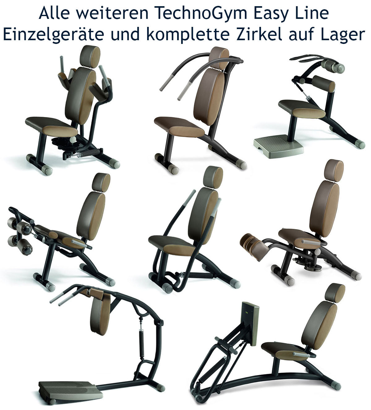 TechnoGym Easy Line Zirkelgerät, Bauch und Rückenstrecker, Kombigerät 2 in 1, Einzelgerät hydraulisch, Polster Braun, gebraucht