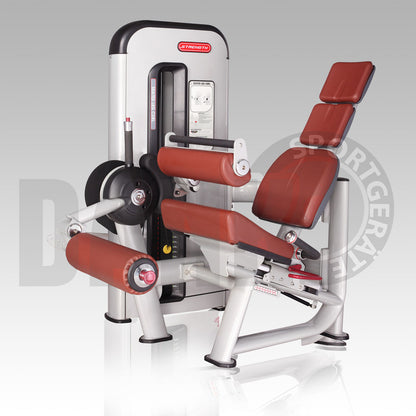 Danksport S-Line Kraftgeräte, Gerätepark mit ca. 22 Fitnessgeräten und Zubehör, Farbe Silber, Polster Braun - Neue Geräte / Ausstellungsgeräte