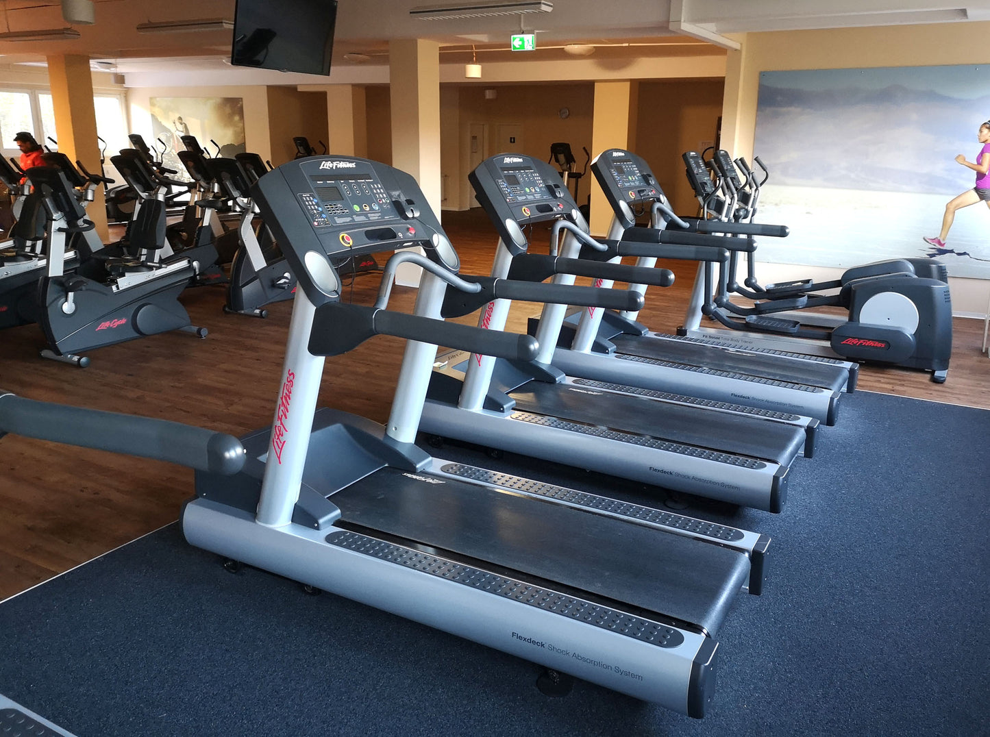 Life Fitness &amp; Hammer Strength - 93 fitness machines - strength training equipment, cardio equipment, plate-loaded equipment, benches, etc. - complete gym - used - TOP condition