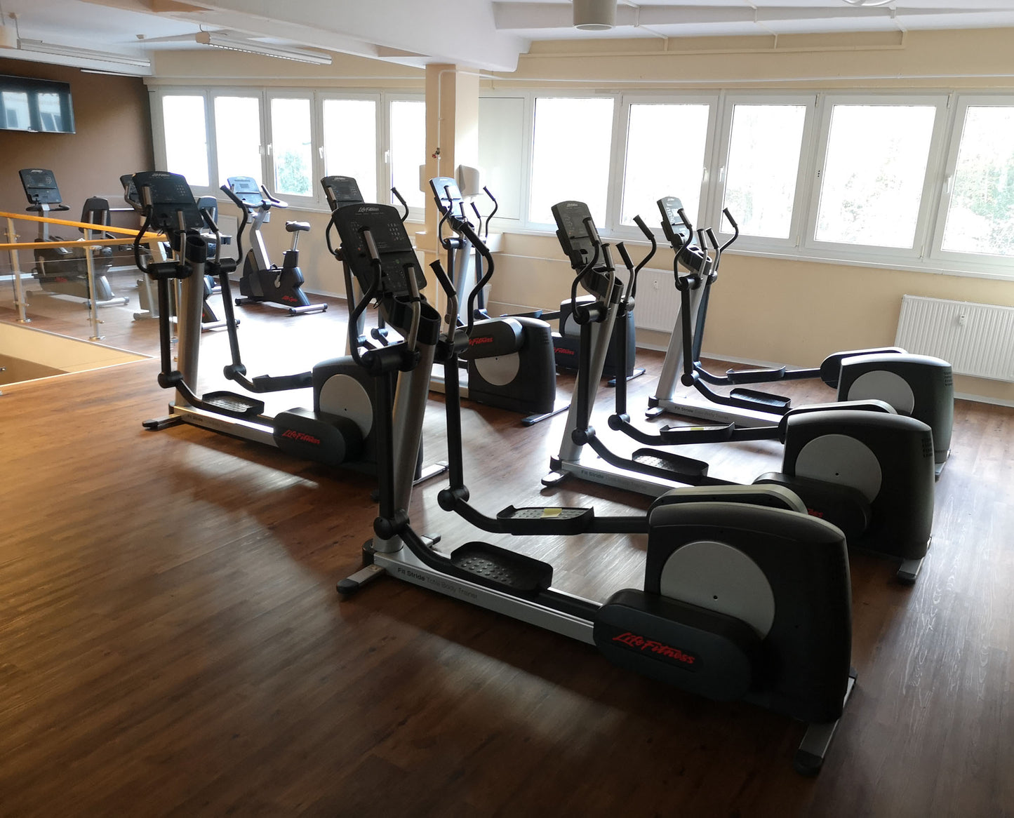 Life Fitness &amp; Hammer Strength - 93 fitness machines - strength training equipment, cardio equipment, plate-loaded equipment, benches, etc. - complete gym - used - TOP condition