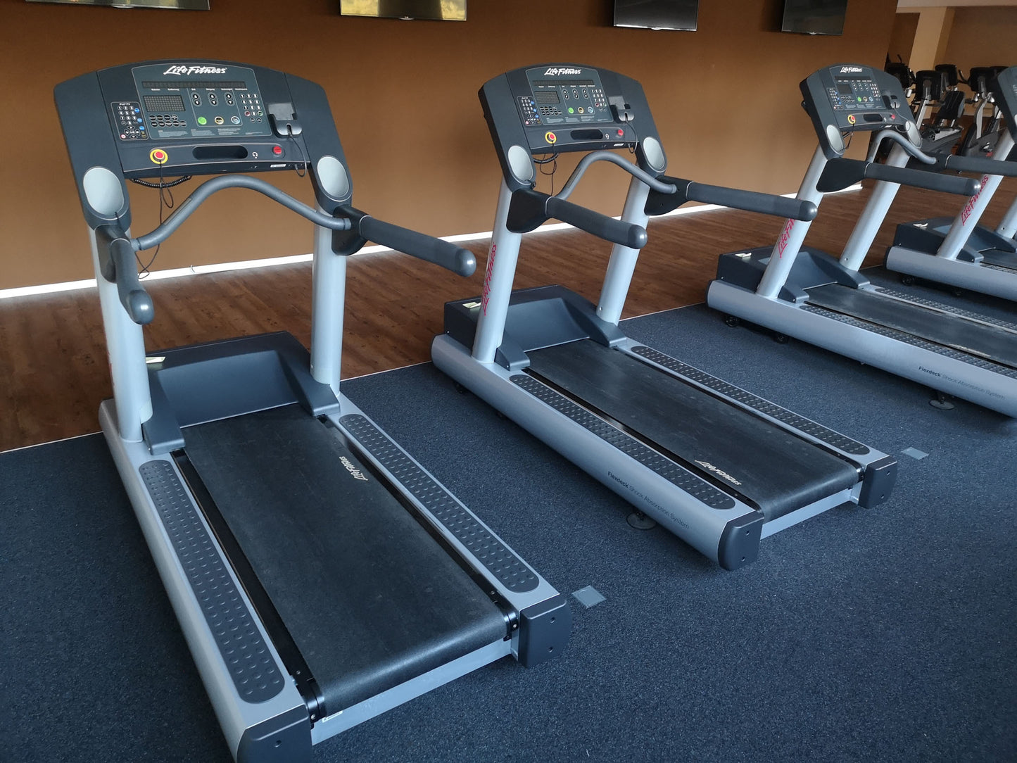 Life Fitness & Hammer Strength - 93 Fitnessgeräte - Kraftgeräte, Cardiogeräte, Plate loaded Geräte, Bänke etc - komplettes Fitnessstudio - gebraucht - TOP Zustand