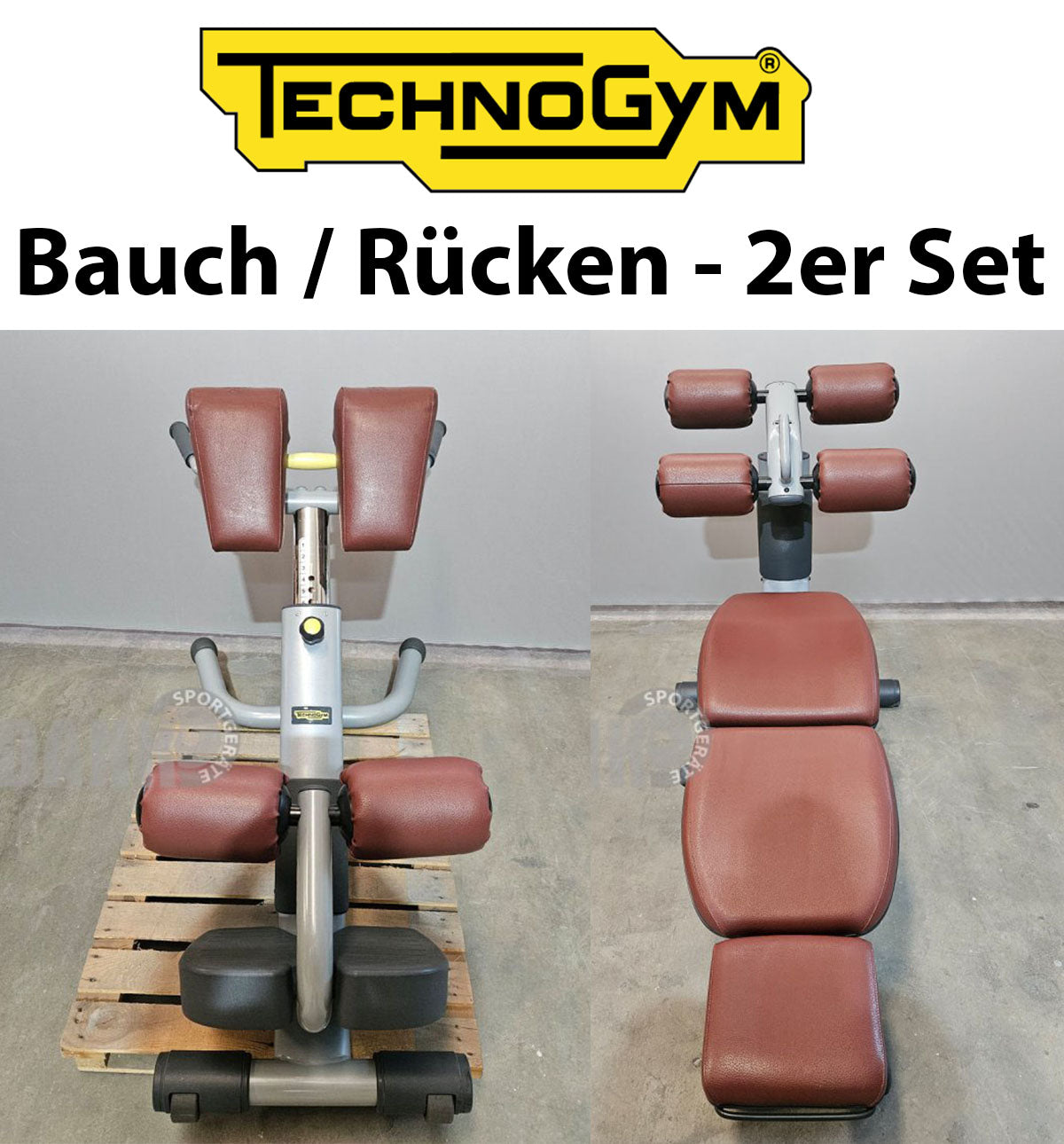 Technogym 2er Set Lower Back Bench und Abdominal Bench - Hyperextension Rückenstreckerbank und verstellbare Bauchbank, Rahmen Silber, gebraucht - überholter Zustand