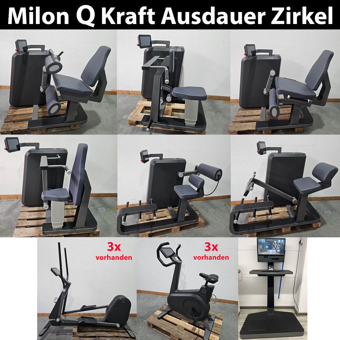 Milon Q Kraft-Ausdauer Zirkel mit 12 Geräten, Baujahr 2019, inkl. Milonizer, inkl. Lieferung, gebraucht, überholt und Neuwertig - Top Zustand