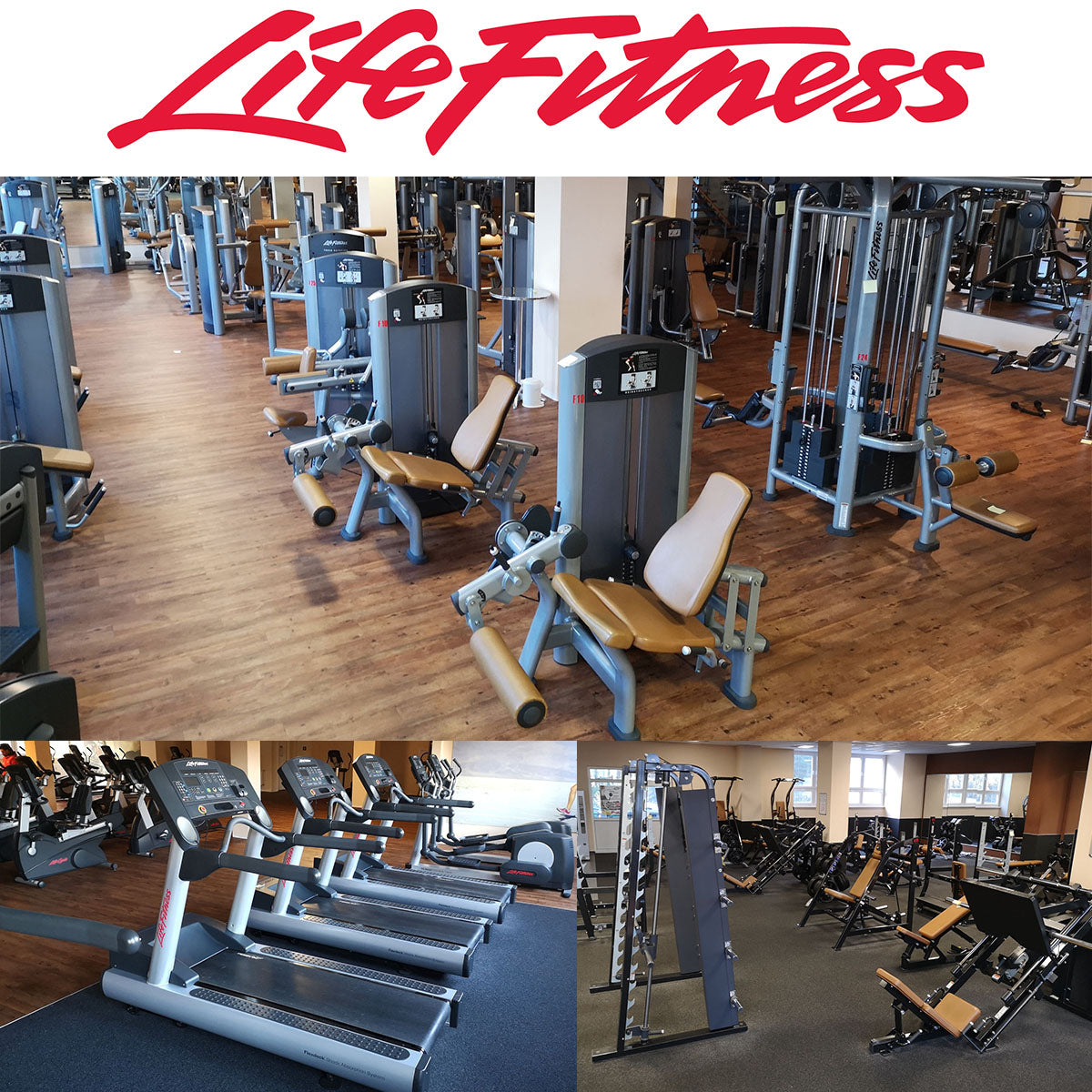 Life Fitness &amp; Hammer Strength - 93 fitness machines - strength training equipment, cardio equipment, plate-loaded equipment, benches, etc. - complete gym - used - TOP condition