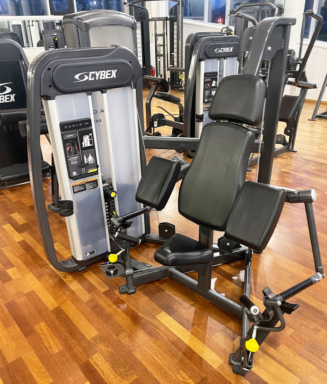 Cybex Eagle NX Arm Curl, biceps machine, biceps curl, frame color anthracite, used - refurbished condition